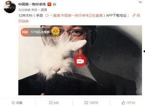 卓伟的爆料事件视频完整版,揭秘娱乐圈惊天秘密，完整版视频深度解析